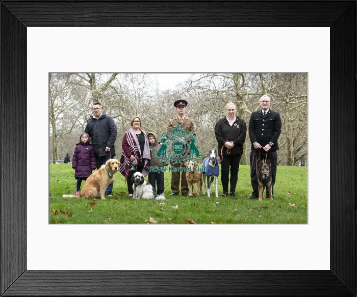 Framed Print : Crufts 2019 - Friends for Life award, London, UK - 5 Feb 2019 Framed Print : Crufts 2019 - Friends for Life award, London, UK - 5 Feb 2019