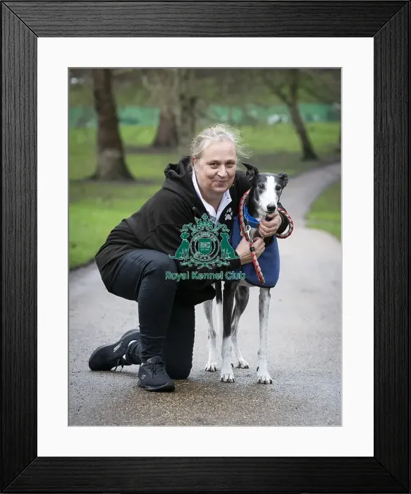 Framed Print : Crufts 2019 - Friends for Life award, London, UK - 5 Feb 2019 Framed Print : Crufts 2019 - Friends for Life award, London, UK - 5 Feb 2019