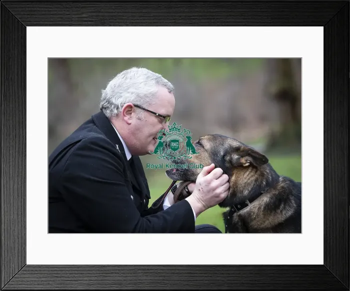 Framed Print : Crufts 2019 - Friends for Life award, London, UK - 5 Feb 2019 Framed Print : Crufts 2019 - Friends for Life award, London, UK - 5 Feb 2019