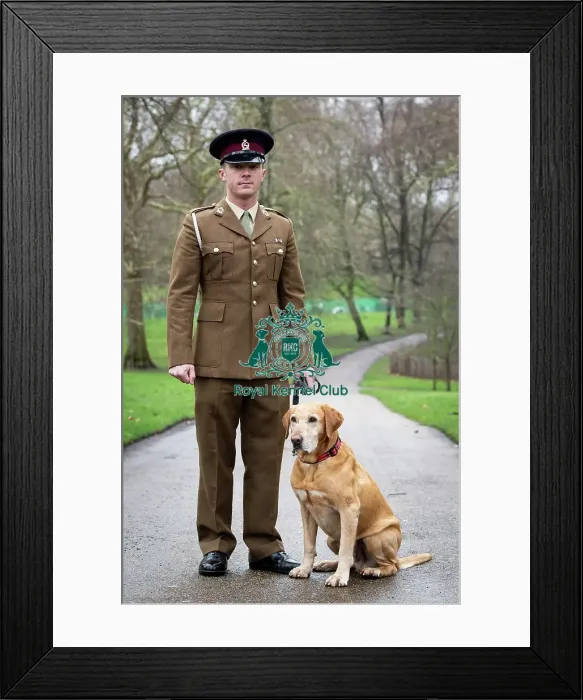 Framed Print : Crufts 2019 - Friends for Life award, London, UK - 5 Feb 2019