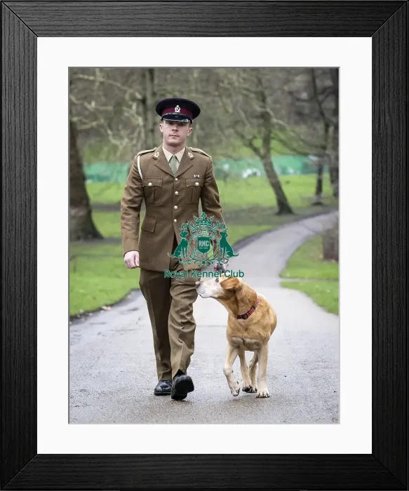Framed Print : Crufts 2019 - Friends for Life award, London, UK - 5 Feb 2019 Framed Print : Crufts 2019 - Friends for Life award, London, UK - 5 Feb 2019