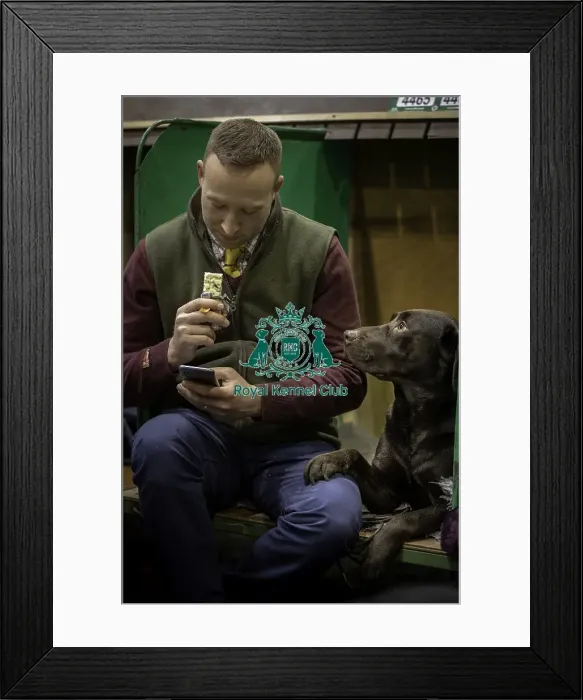 Framed Print : Crufts 2019 - Day One, NEC, UK - 7 Mar 2019