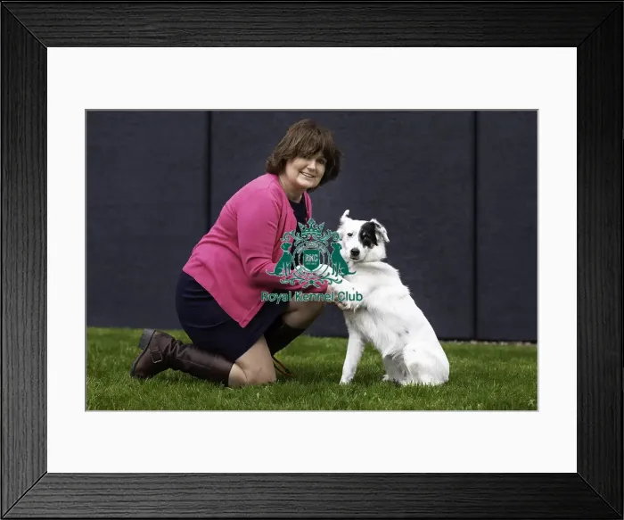 Framed Print : Crufts 2019 - Day One, NEC, UK - 7 Mar 2019 Framed Print : Crufts 2019 - Day One, NEC, UK - 7 Mar 2019