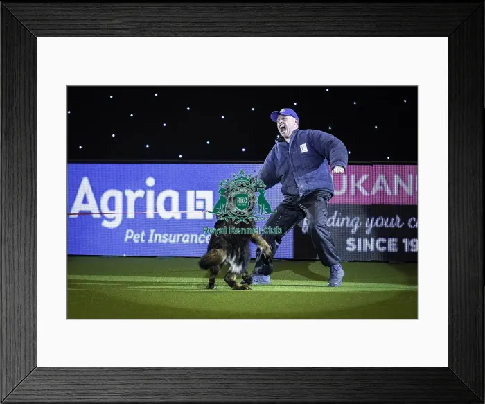 Framed Print : Crufts 2019 - Day One, NEC, UK - 7 Mar 2019 Framed Print : Crufts 2019 - Day One, NEC, UK - 7 Mar 2019