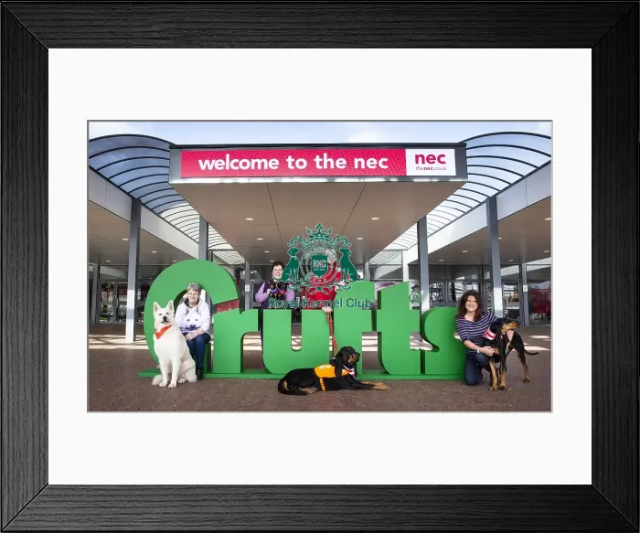 Framed Print : Crufts 2019 - Birmingham Launch, NEC, UK - 5 Mar 2019 Framed Print : Crufts 2019 - Birmingham Launch, NEC, UK - 5 Mar 2019