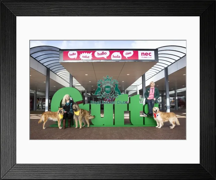 Framed Print : Crufts 2019 - Birmingham Launch, NEC, UK - 5 Mar 2019 Framed Print : Crufts 2019 - Birmingham Launch, NEC, UK - 5 Mar 2019