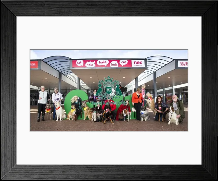 Framed Print : Crufts 2019 - Birmingham Launch, NEC, UK - 5 Mar 2019 Framed Print : Crufts 2019 - Birmingham Launch, NEC, UK - 5 Mar 2019