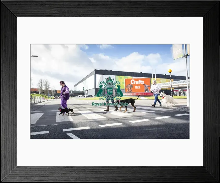 Framed Print : Crufts 2019 - Birmingham Launch, NEC, UK - 5 Mar 2019 Framed Print : Crufts 2019 - Birmingham Launch, NEC, UK - 5 Mar 2019