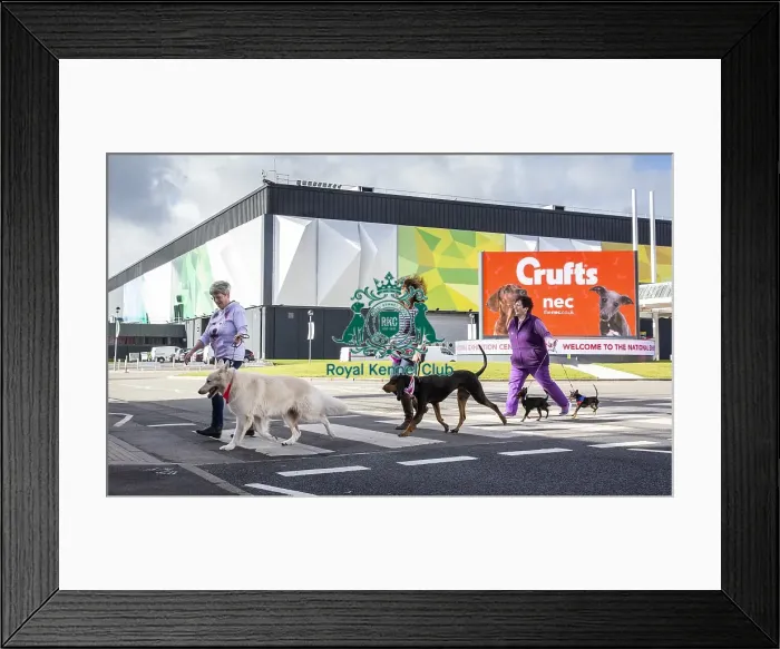 Framed Print : Crufts 2019 - Birmingham Launch, NEC, UK - 5 Mar 2019 Framed Print : Crufts 2019 - Birmingham Launch, NEC, UK - 5 Mar 2019