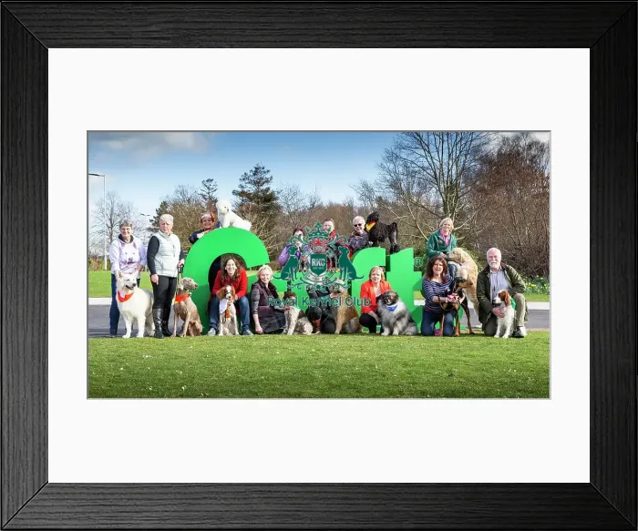 Framed Print : Crufts 2019 - Birmingham Launch, NEC, UK - 5 Mar 2019 Framed Print : Crufts 2019 - Birmingham Launch, NEC, UK - 5 Mar 2019
