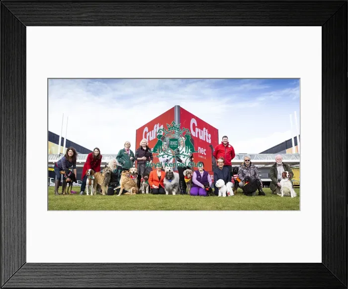 Framed Print : Crufts 2019 - Birmingham Launch, NEC, UK - 5 Mar 2019 Framed Print : Crufts 2019 - Birmingham Launch, NEC, UK - 5 Mar 2019