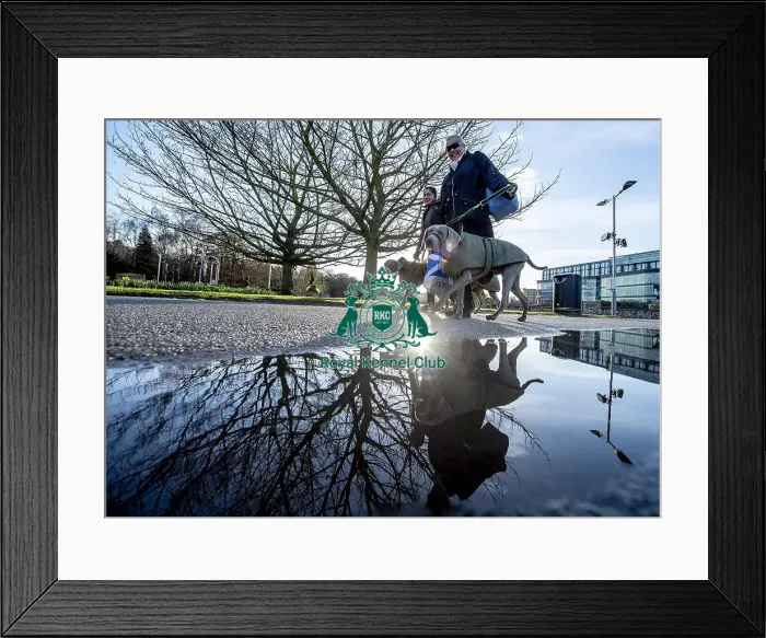 Framed Print : Crufts 2019 - Day One, NEC, UK - 7 Mar 2019 Framed Print : Crufts 2019 - Day One, NEC, UK - 7 Mar 2019