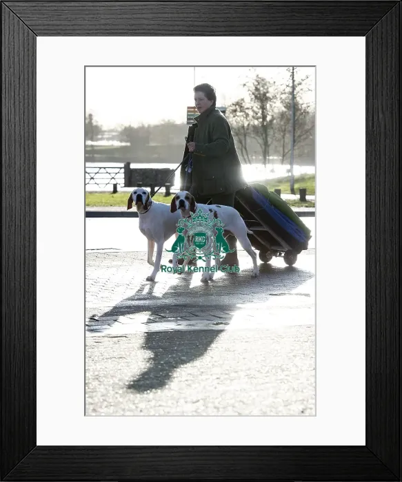 Framed Print : Crufts 2019 - Day One, NEC, UK - 7 Mar 2019