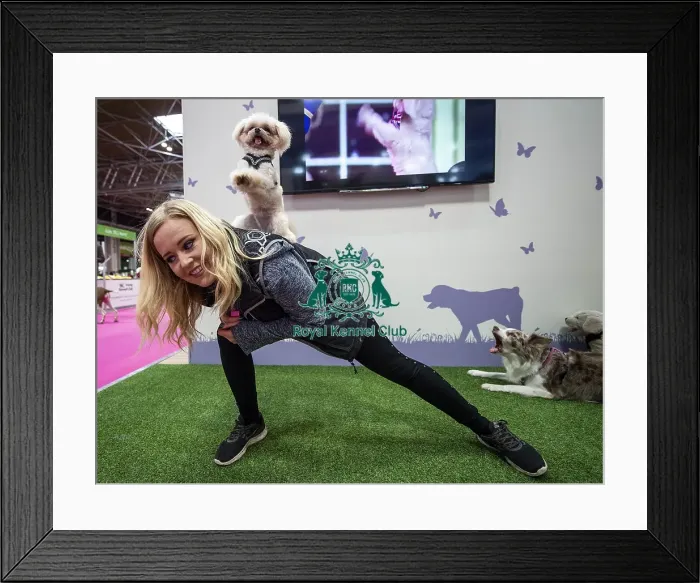 Framed Print : Crufts 2019 - Day One, NEC, UK - 7 Mar 2019 Framed Print : Crufts 2019 - Day One, NEC, UK - 7 Mar 2019