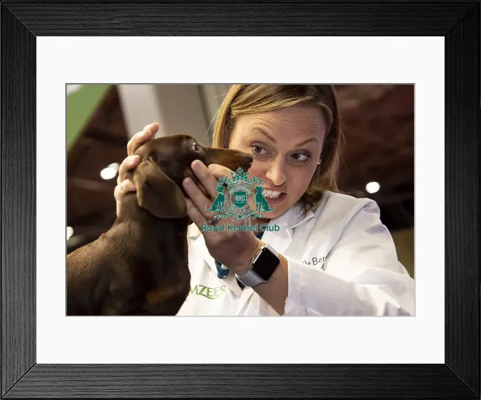 Framed Print : Crufts 2019 - Day One, NEC, UK - 7 Mar 2019 Framed Print : Crufts 2019 - Day One, NEC, UK - 7 Mar 2019