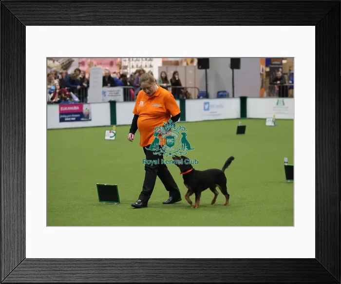 Framed Print : Crufts 2019 - Day One, NEC, UK - 7 Mar 2019 Framed Print : Crufts 2019 - Day One, NEC, UK - 7 Mar 2019