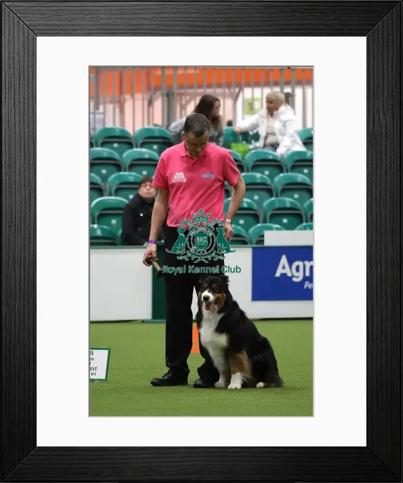 Framed Print : Crufts 2019 - Day One, NEC, UK - 7 Mar 2019 Framed Print : Crufts 2019 - Day One, NEC, UK - 7 Mar 2019