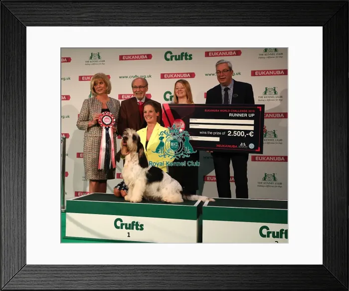 Framed Print : Crufts 2019 - Day One, NEC, UK - 7 Mar 2019 Framed Print : Crufts 2019 - Day One, NEC, UK - 7 Mar 2019