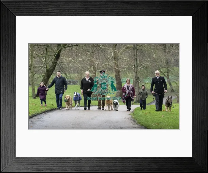 Framed Print : Crufts 2019 - Friends for Life award, London, UK - 5 Feb 2019 Framed Print : Crufts 2019 - Friends for Life award, London, UK - 5 Feb 2019