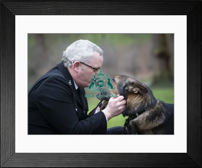 Framed Print : Crufts 2019 - Friends for Life award, London, UK - 5 Feb 2019 Framed Print : Crufts 2019 - Friends for Life award, London, UK - 5 Feb 2019
