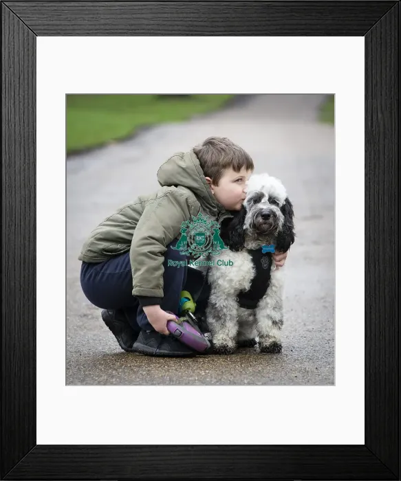 Framed Print : Crufts 2019 - Friends for Life award, London, UK - 5 Feb 2019 Framed Print : Crufts 2019 - Friends for Life award, London, UK - 5 Feb 2019