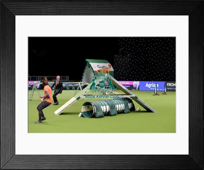 Framed Print : Crufts 2019 - Day Two, NEC, UK - 8 Mar 2019 Framed Print : Crufts 2019 - Day Two, NEC, UK - 8 Mar 2019