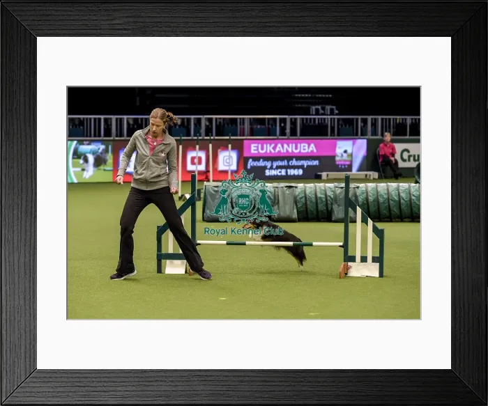 Framed Print : Crufts 2019 - Day Two, NEC, UK - 8 Mar 2019 Framed Print : Crufts 2019 - Day Two, NEC, UK - 8 Mar 2019