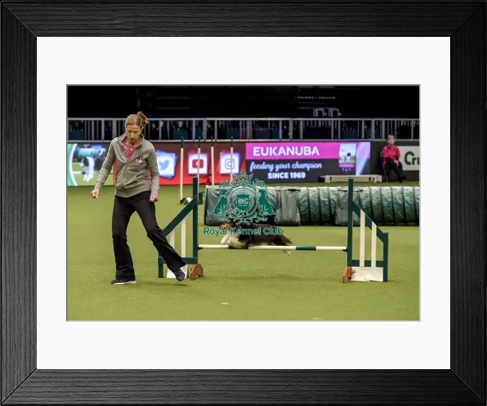 Framed Print : Crufts 2019 - Day Two, NEC, UK - 8 Mar 2019 Framed Print : Crufts 2019 - Day Two, NEC, UK - 8 Mar 2019