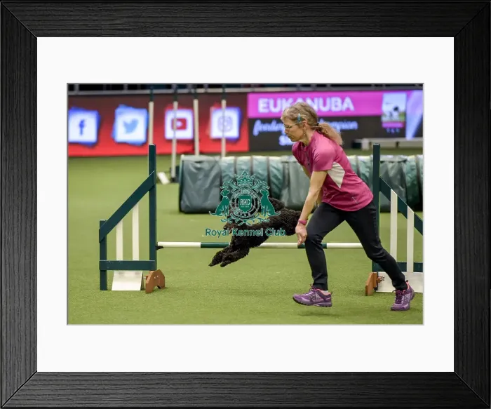 Framed Print : Crufts 2019 - Day Two, NEC, UK - 8 Mar 2019