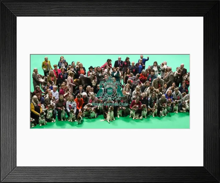 Framed Print : Crufts 2019 - Day One, NEC, UK - 7 Mar 2019