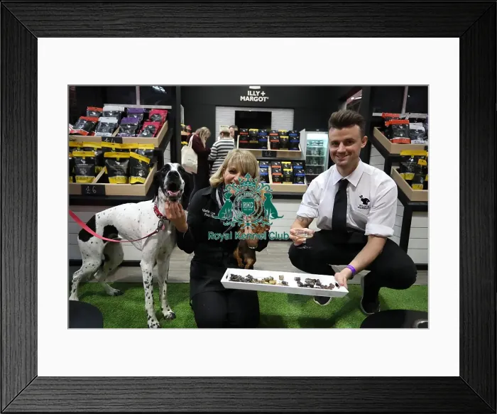 Framed Print : Crufts 2019 - Day One, NEC, UK - 7 Mar 2019 Framed Print : Crufts 2019 - Day One, NEC, UK - 7 Mar 2019