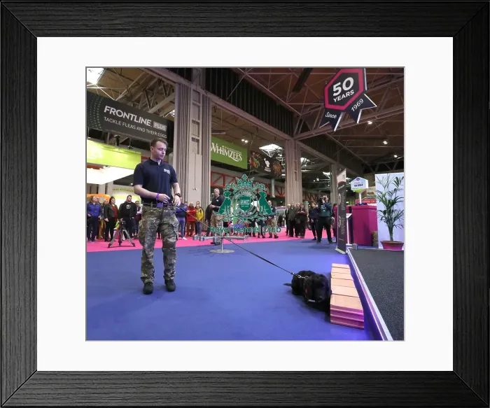 Framed Print : Crufts 2019 - Day One, NEC, UK - 7 Mar 2019 Framed Print : Crufts 2019 - Day One, NEC, UK - 7 Mar 2019