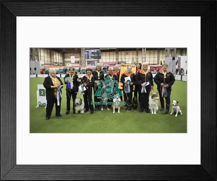 Framed Print : Crufts 2019 - Day One, NEC, UK - 7 Mar 2019 Framed Print : Crufts 2019 - Day One, NEC, UK - 7 Mar 2019