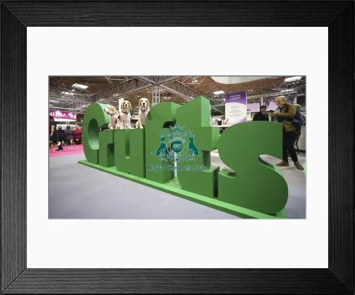 Framed Print : Crufts 2019 - Day One, NEC, UK - 7 Mar 2019 Framed Print : Crufts 2019 - Day One, NEC, UK - 7 Mar 2019