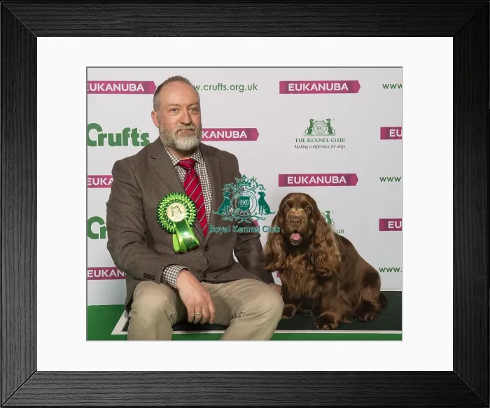 Framed Print : Crufts 2019 - Best of Breed / Gundog Framed Print : Crufts 2019 - Best of Breed / Gundog