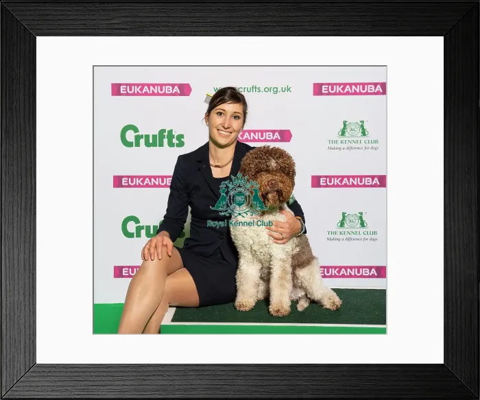 Framed Print : Crufts 2019 - Best of Breed  /  Gundog