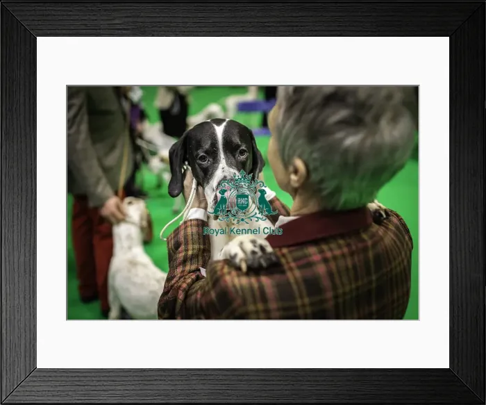 Framed Print : Crufts 2019 - Day One, NEC, UK - 7 Mar 2019 Framed Print : Crufts 2019 - Day One, NEC, UK - 7 Mar 2019