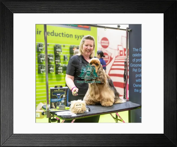 Framed Print : Furminator Framed Print : Furminator