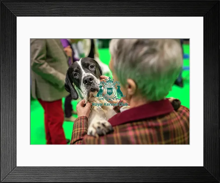 Framed Print : Crufts 2019 - Day One, NEC, UK - 7 Mar 2019 Framed Print : Crufts 2019 - Day One, NEC, UK - 7 Mar 2019
