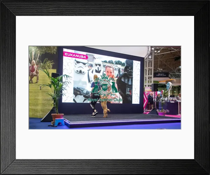 Framed Print : Eukanuba Framed Print : Eukanuba