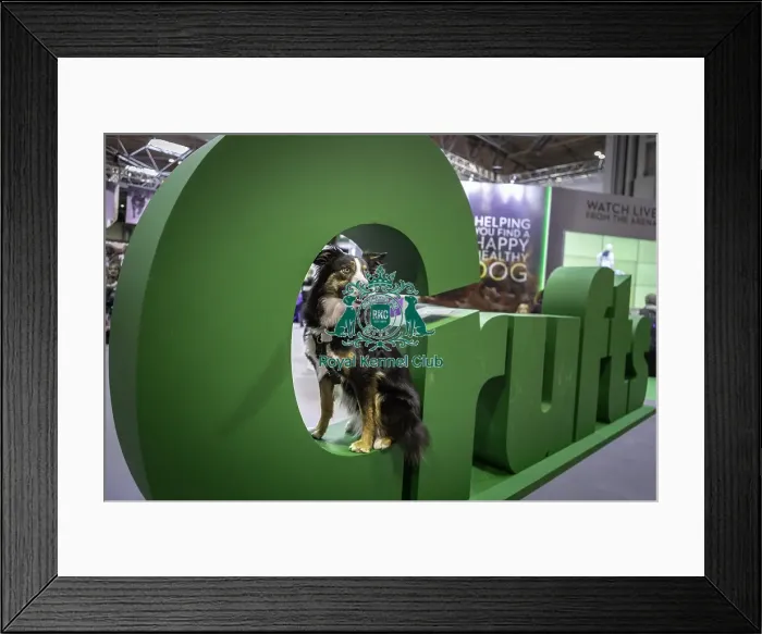 Framed Print : Crufts 2019 - Day One, NEC, UK - 7 Mar 2019