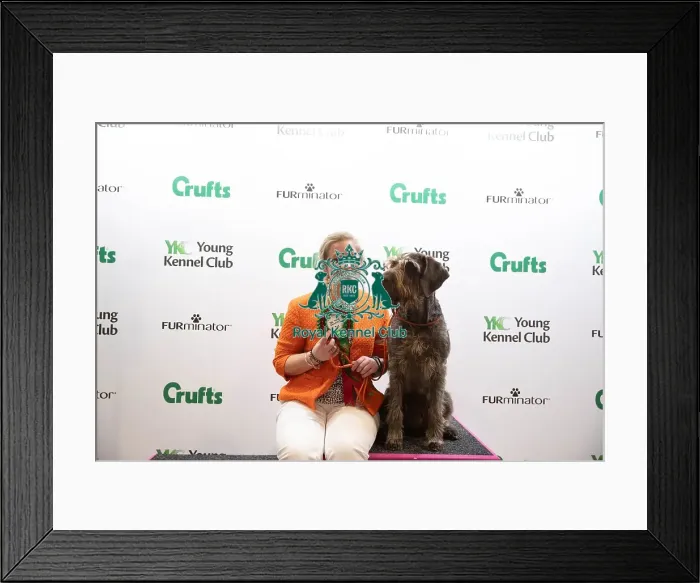 Framed Print : TKC 82828. Furminator Adertisement Framed Print : TKC 82828. Furminator Adertisement