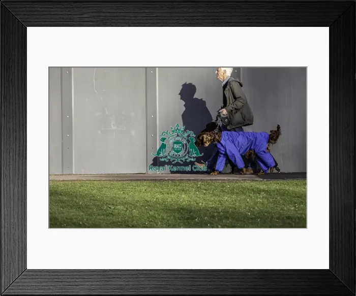 Framed Print : Crufts 2019 - Day One, NEC, UK - 7 Mar 2019