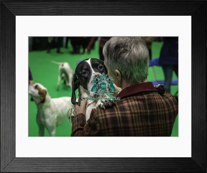 Framed Print : Crufts 2019 - Day One, NEC, UK - 7 Mar 2019 Framed Print : Crufts 2019 - Day One, NEC, UK - 7 Mar 2019