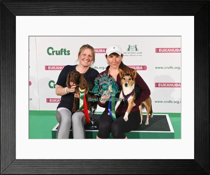 Framed Print : Crufts 2019 - Day Two, NEC, UK - 8 Mar 2019 Framed Print : Crufts 2019 - Day Two, NEC, UK - 8 Mar 2019