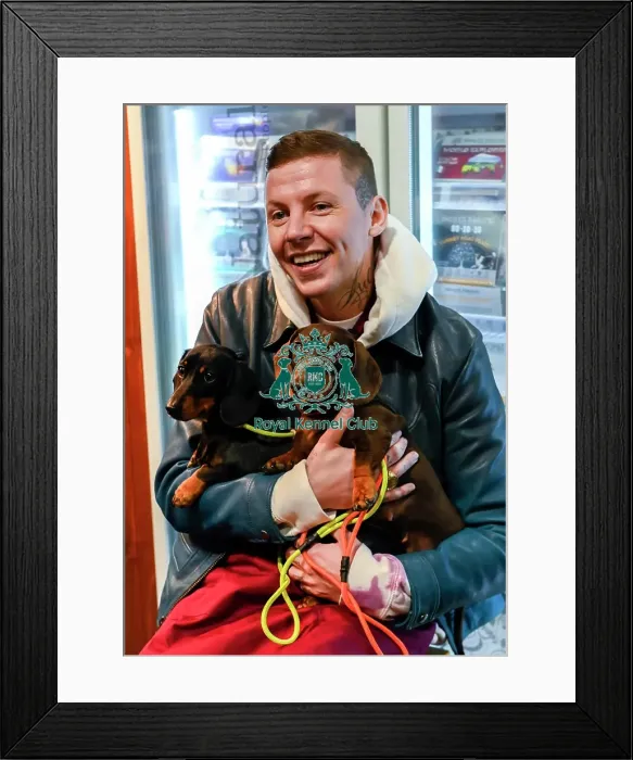 Framed Print : Crufts 2019 - Day One, NEC, UK - 7 Mar 2019 Framed Print : Crufts 2019 - Day One, NEC, UK - 7 Mar 2019