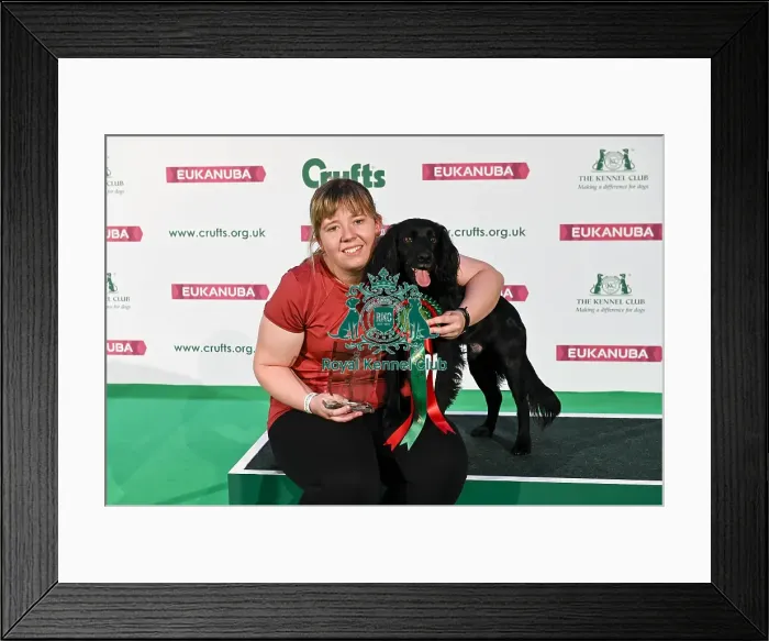Framed Print : Crufts 2019 - Day Two, NEC, UK - 8 Mar 2019 Framed Print : Crufts 2019 - Day Two, NEC, UK - 8 Mar 2019