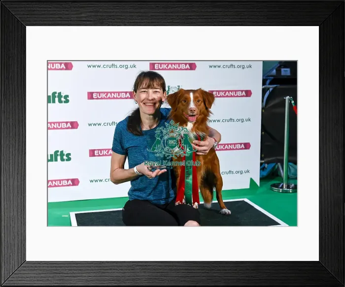 Framed Print : Crufts 2019 - Day Two, NEC, UK - 8 Mar 2019 Framed Print : Crufts 2019 - Day Two, NEC, UK - 8 Mar 2019