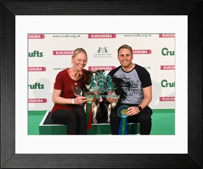 Framed Print : Crufts 2019 - Day Two, NEC, UK - 8 Mar 2019 Framed Print : Crufts 2019 - Day Two, NEC, UK - 8 Mar 2019