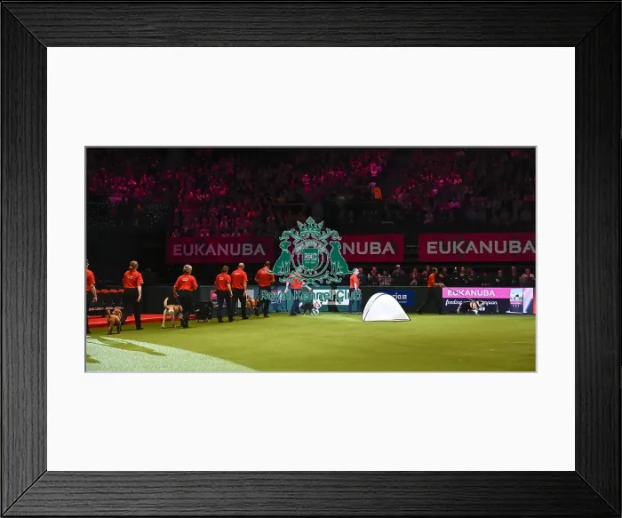 Framed Print : Crufts 2019 - Day Three, NEC, UK - 9 Mar 2019 Framed Print : Crufts 2019 - Day Three, NEC, UK - 9 Mar 2019